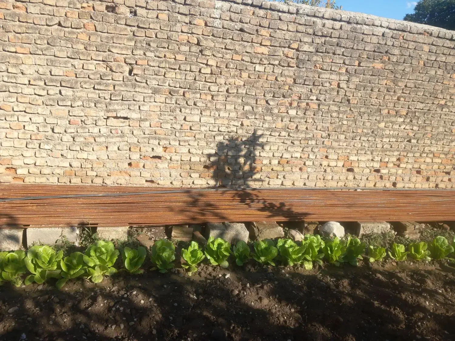 اهن قیمت توافقی|مصالح و تجهیزات ساختمان|علیآباد کتول, |دیوار