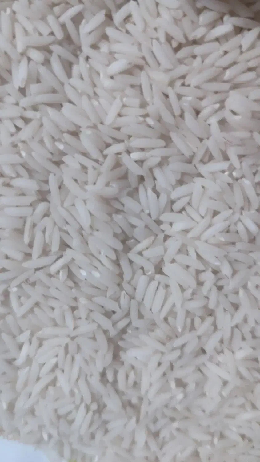 برنج هاشمی درجه یک آستانه|خوردنی و آشامیدنی|قرچک, زیبا شهر|دیوار