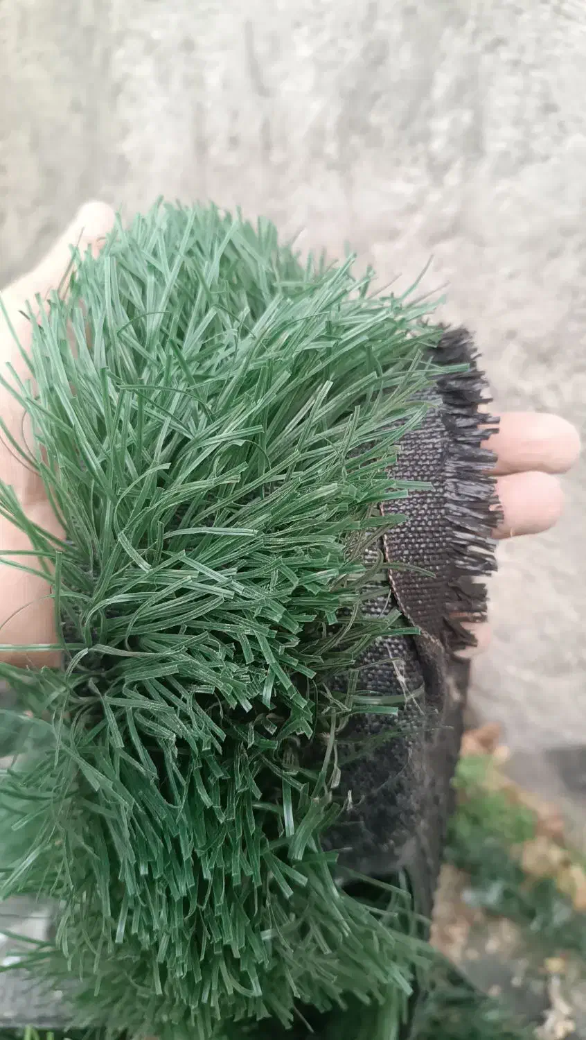 چمن مصنوعی|مصالح و تجهیزات ساختمان|مود, |دیوار