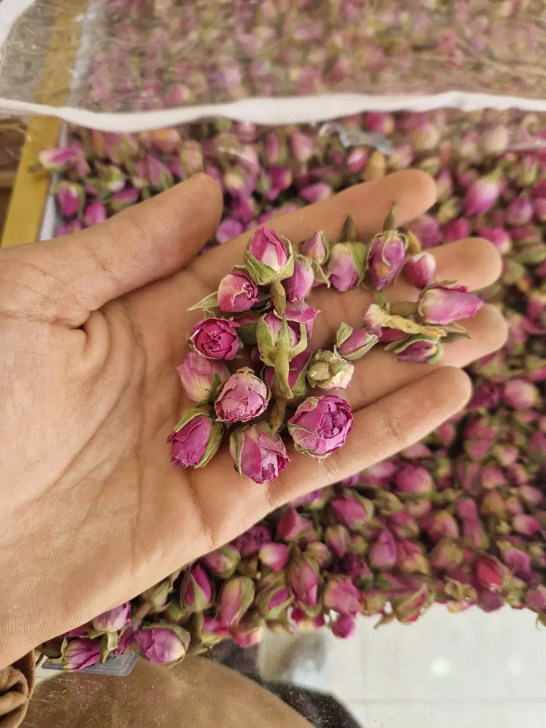 غنچه گل محمدی|خوردنی و آشامیدنی|سرپل ذهاب, |دیوار