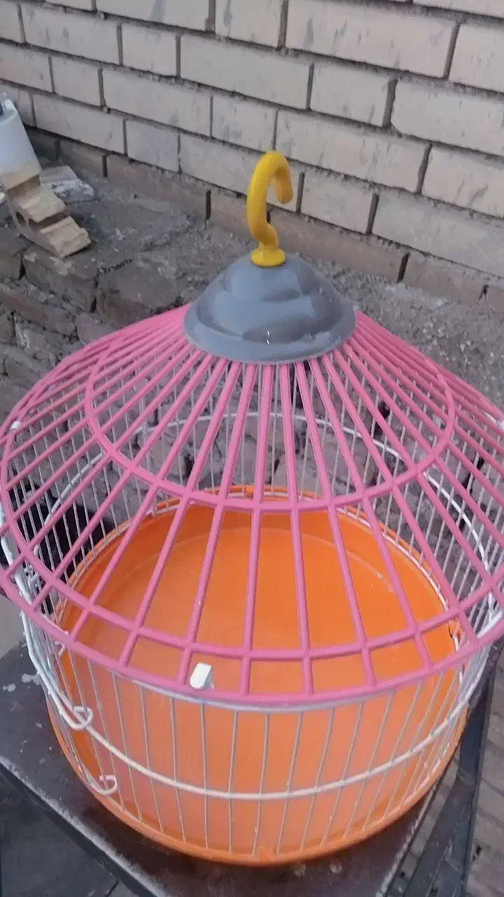 قفس|لوازم جانبی حیوانات|سبزوار, صالح آباد|دیوار