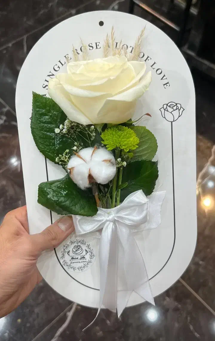 بلیط پول رایگا ن|کارت هدیه و تخفیف|اردبیل, |دیوار