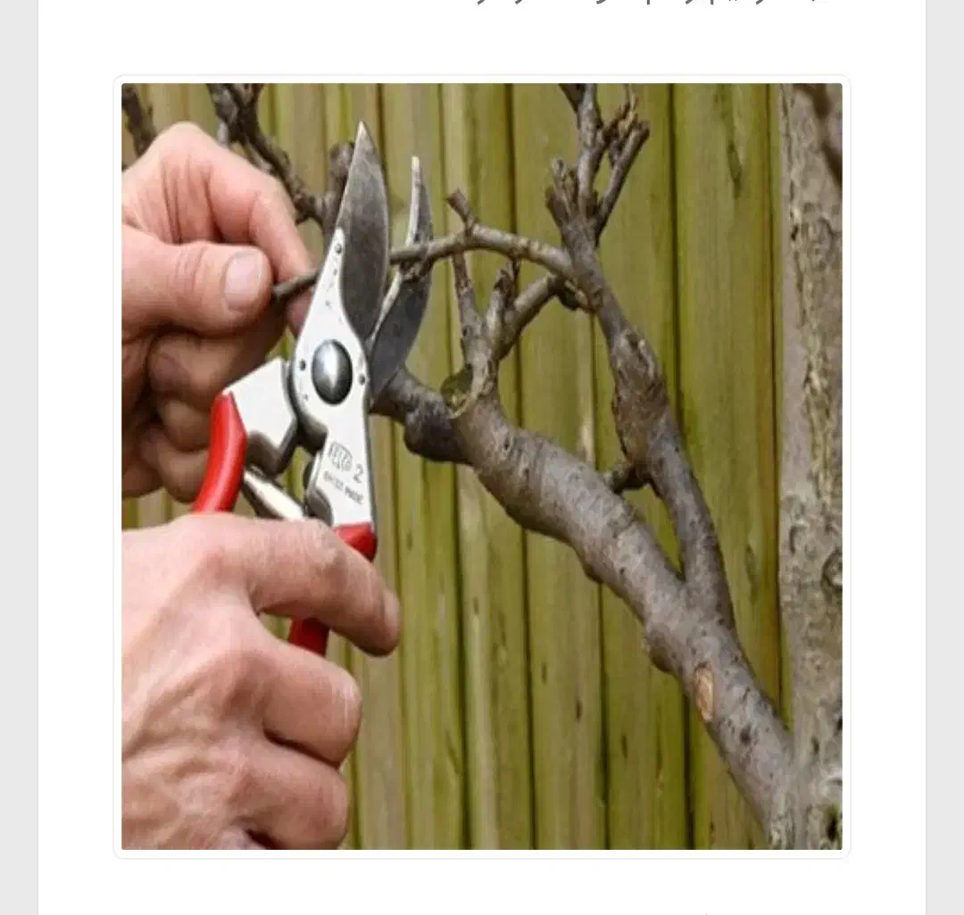 انجام خدمات باغی و زراعی|خدمات باغبانی و درختکاری|شازند, |دیوار