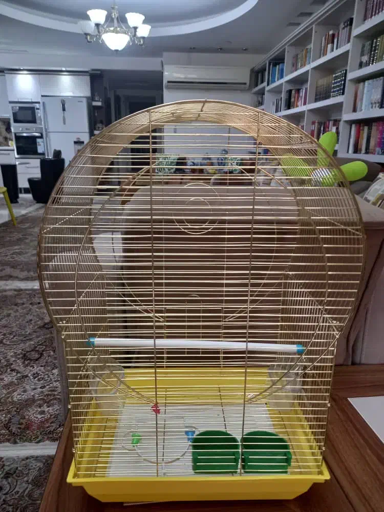 قفس پرنده|لوازم جانبی حیوانات|اهواز, کیانپارس |دیوار