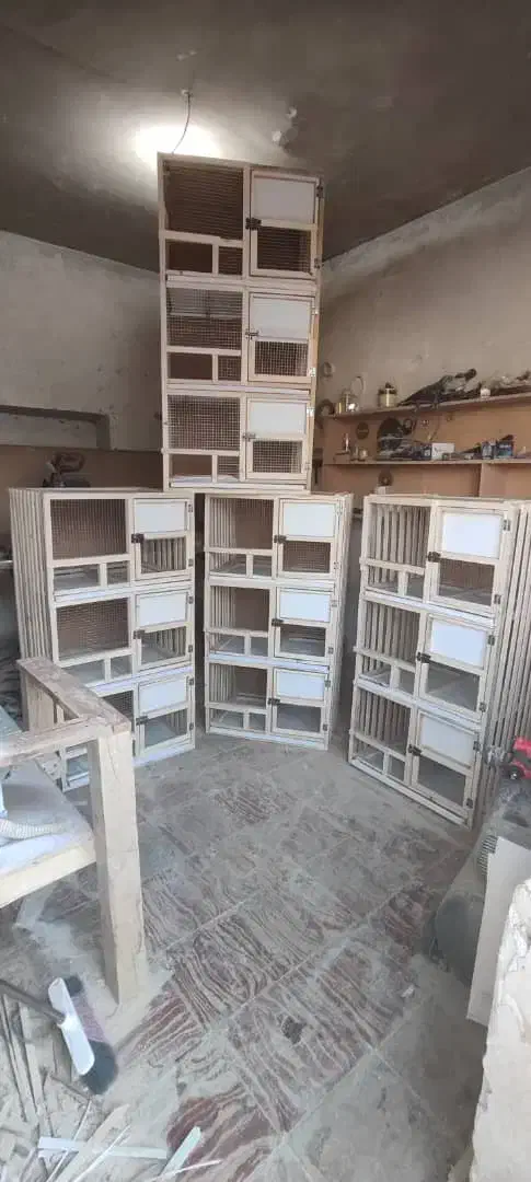 قفس جفتگاه|لوازم جانبی حیوانات|داراب, |دیوار