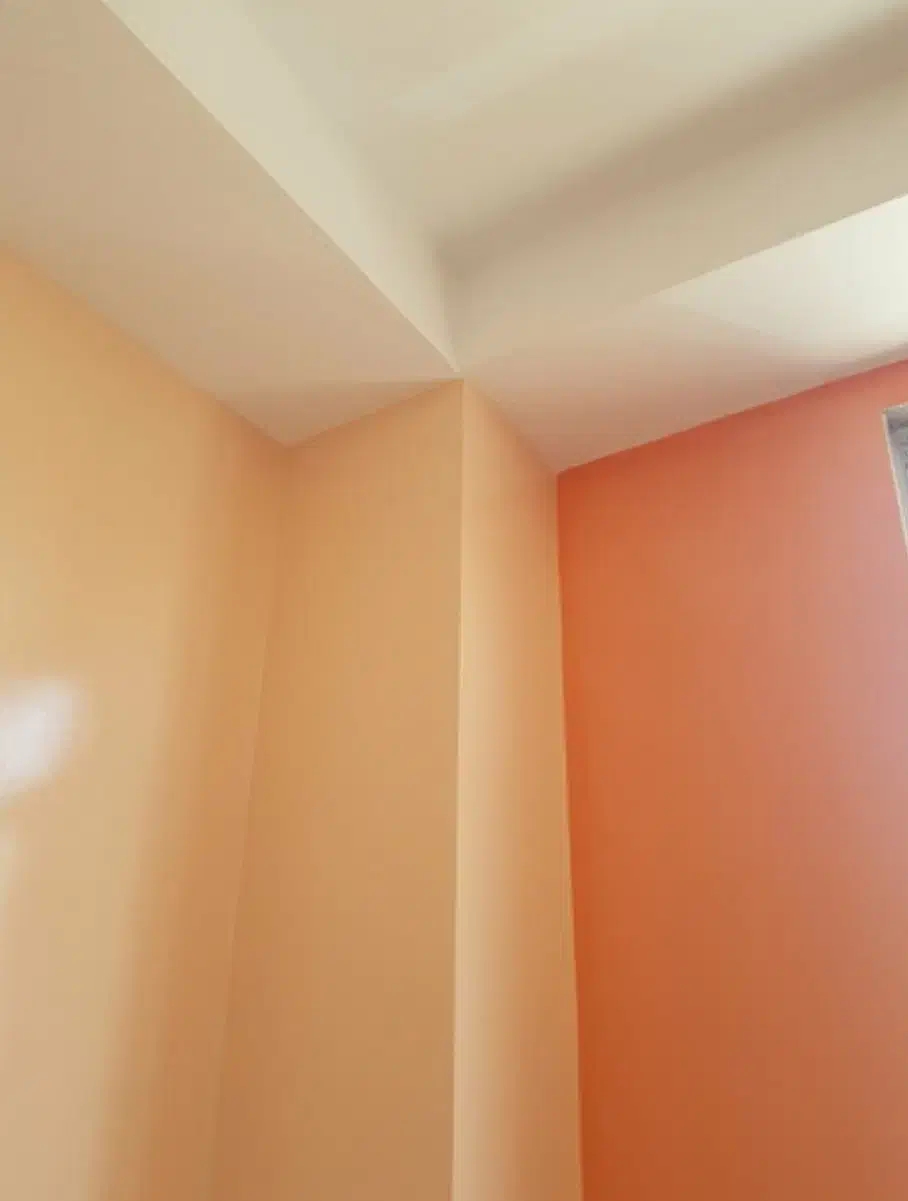 نقاشی نقاش ساختمان درب و پنجره رنگ روغنی پلاستیک|خدمات پیشه و مهارت|فولادشهر, C4|دیوار