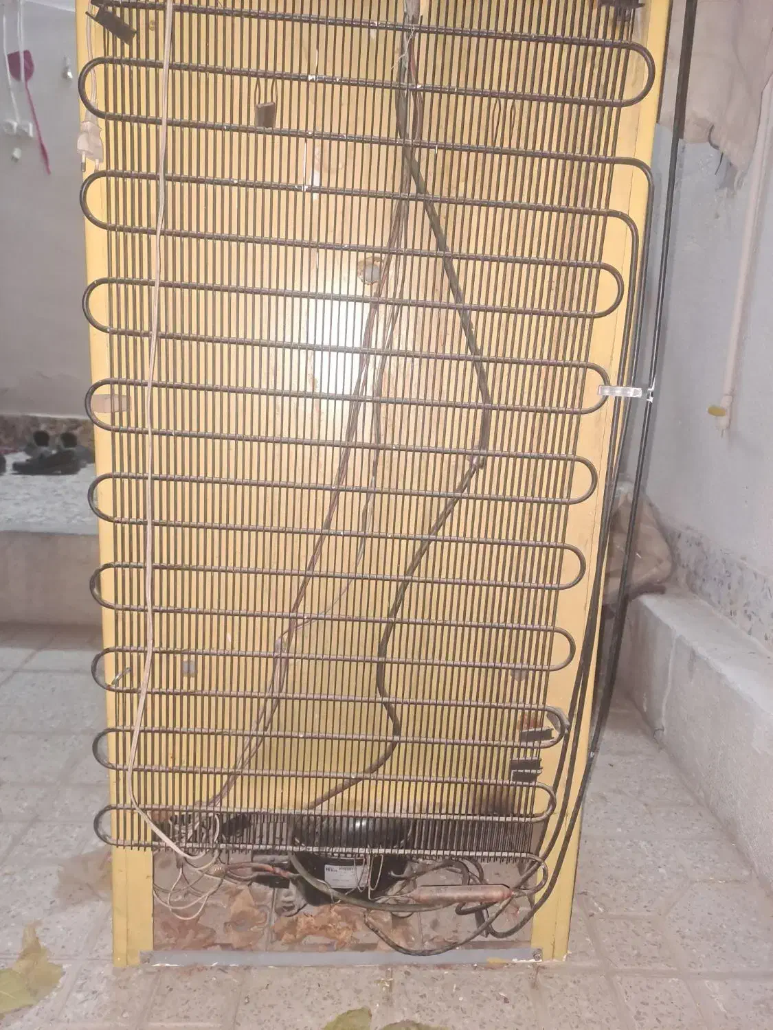 فریزر ارج|یخچال و فریزر|اصفهان, شاهد|دیوار