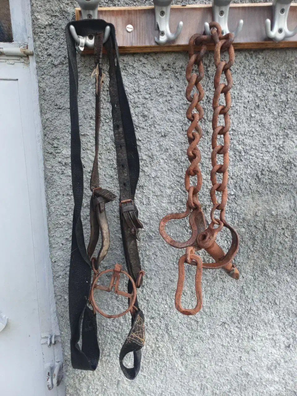 سرجل ولقاب وپیون قاطر|اسب و تجهیزات اسبسواری|جوانرود, |دیوار