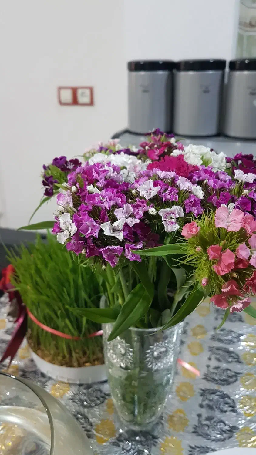 کالسکه کودک|کالسکه و لوازم جانبی|اندیمشک, |دیوار