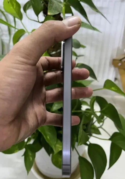 samsung A56|موبایل|شوشتر, |دیوار