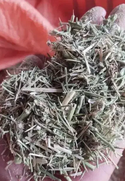 کاه خارشتر خشک شده با خرمنکوب|لوازم جانبی حیوانات|شبانکاره, |دیوار