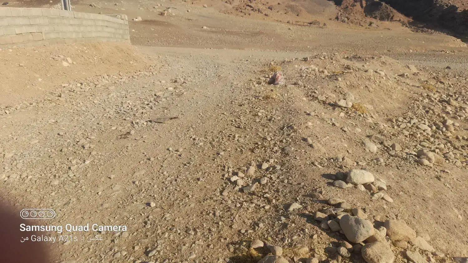 زمین برای استفاده دامداری و یا درختکاری|فروش زمین و ملک کلنگی|آبدانان, |دیوار