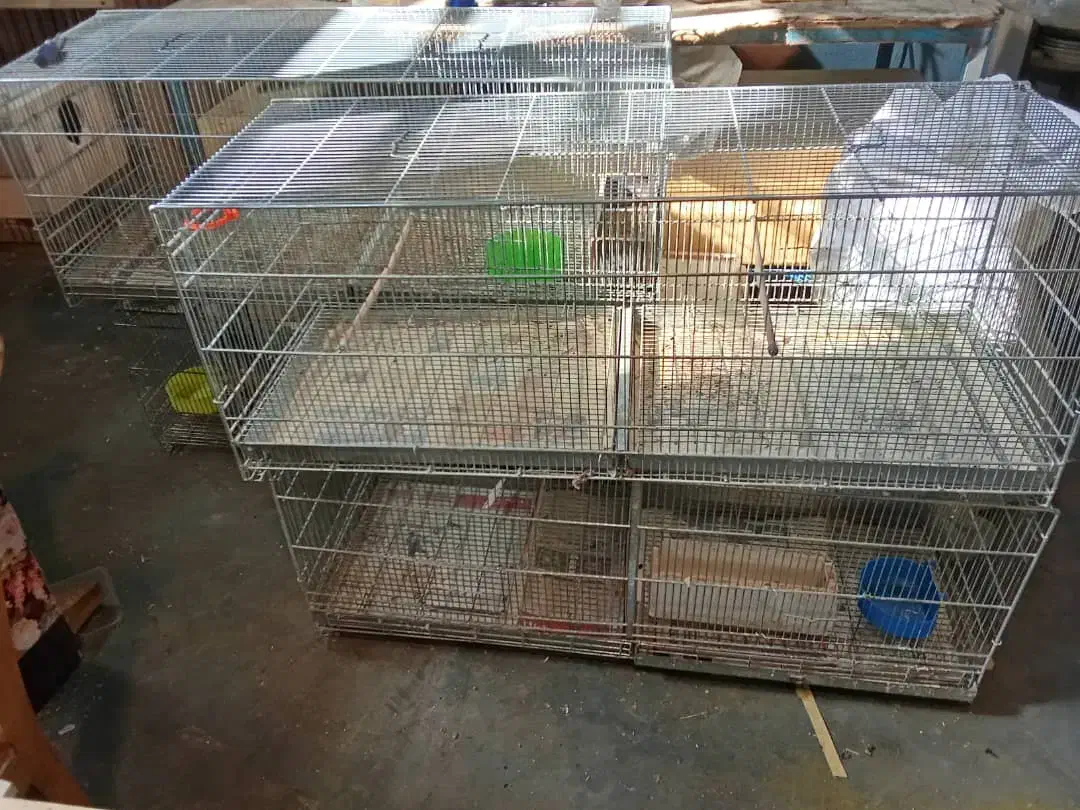 قفس پرنده بزرگ|لوازم جانبی حیوانات|رشت, کوی حسینی|دیوار