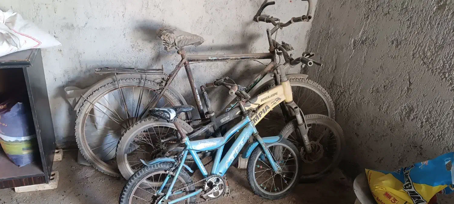 دوچرخه|دوچرخه، اسکیت، اسکوتر|رامشیر, |دیوار