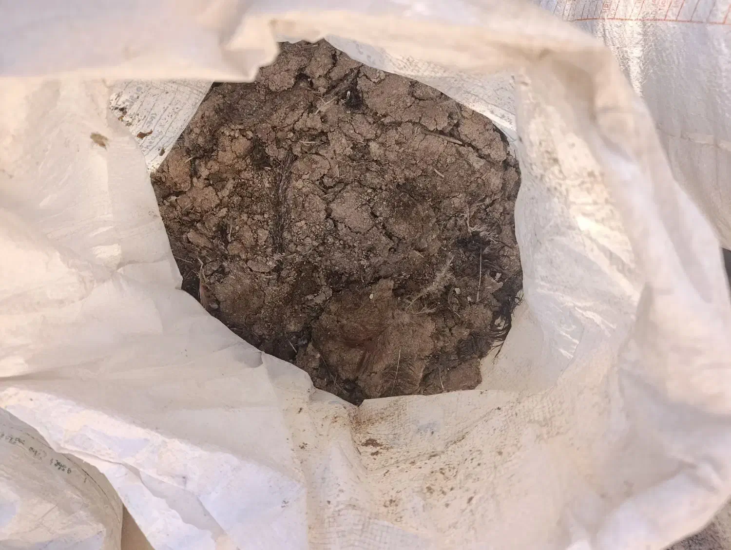 کود مرغ وبوقلمون|خدمات باغبانی و درختکاری|همدان, |دیوار