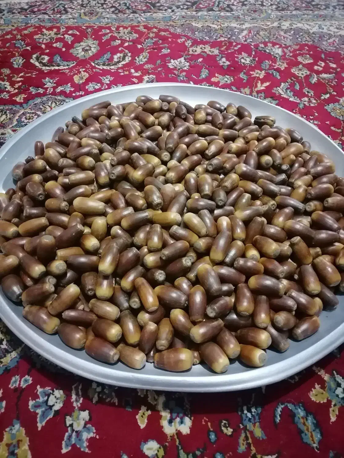 بلوط. بلور|حیوانات مزرعه|آزادشهر, |دیوار