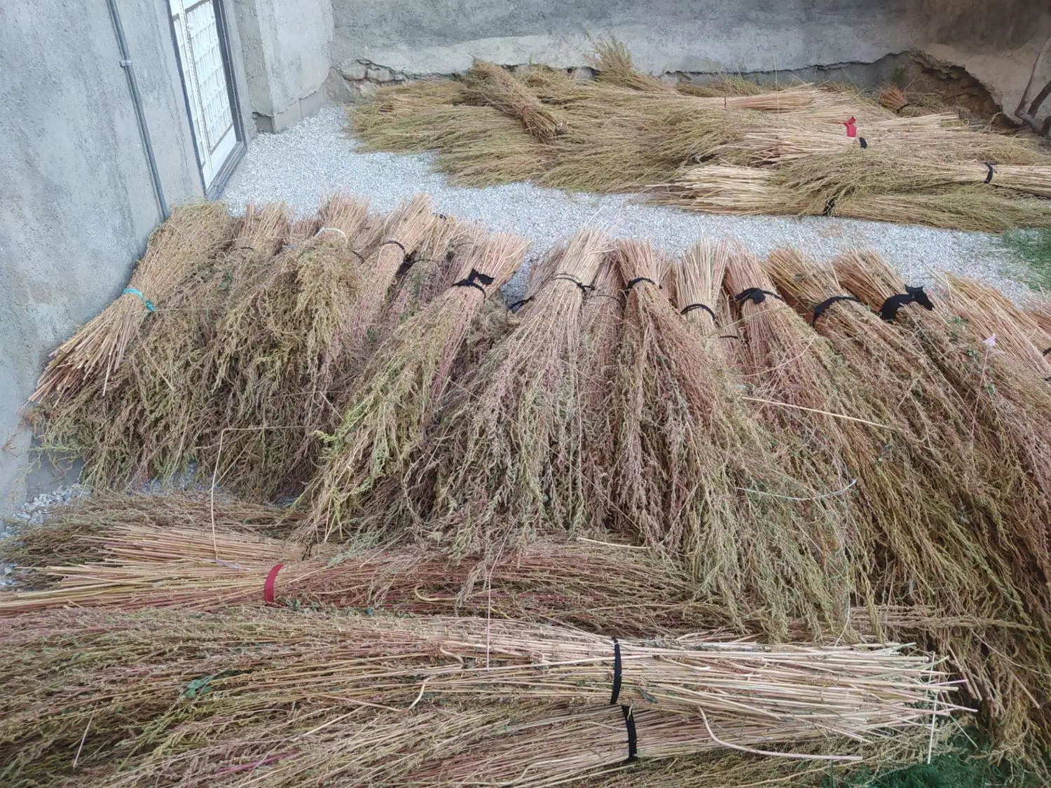 جارو|جاروبرقی، جارو شارژی، بخارشو|نهاوند, |دیوار