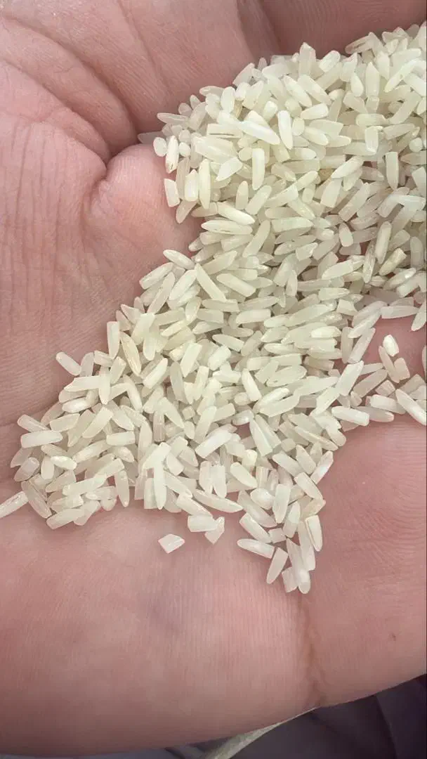 برنج نیمدانه پاکستانی درجه 1 قیمت نامبروان|عمده‌فروشی|مشهد, کارمندان دوم|دیوار