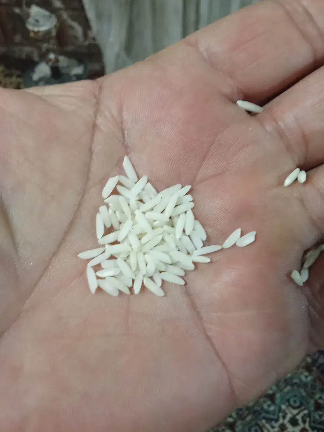 برنج چغلوندی|خوردنی و آشامیدنی|بیرانوند, |دیوار