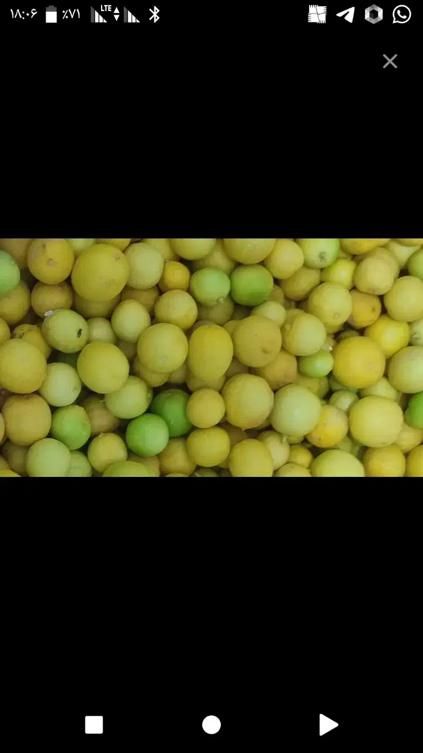 فروش لیموارگانیک|خوردنی و آشامیدنی|سوق, |دیوار