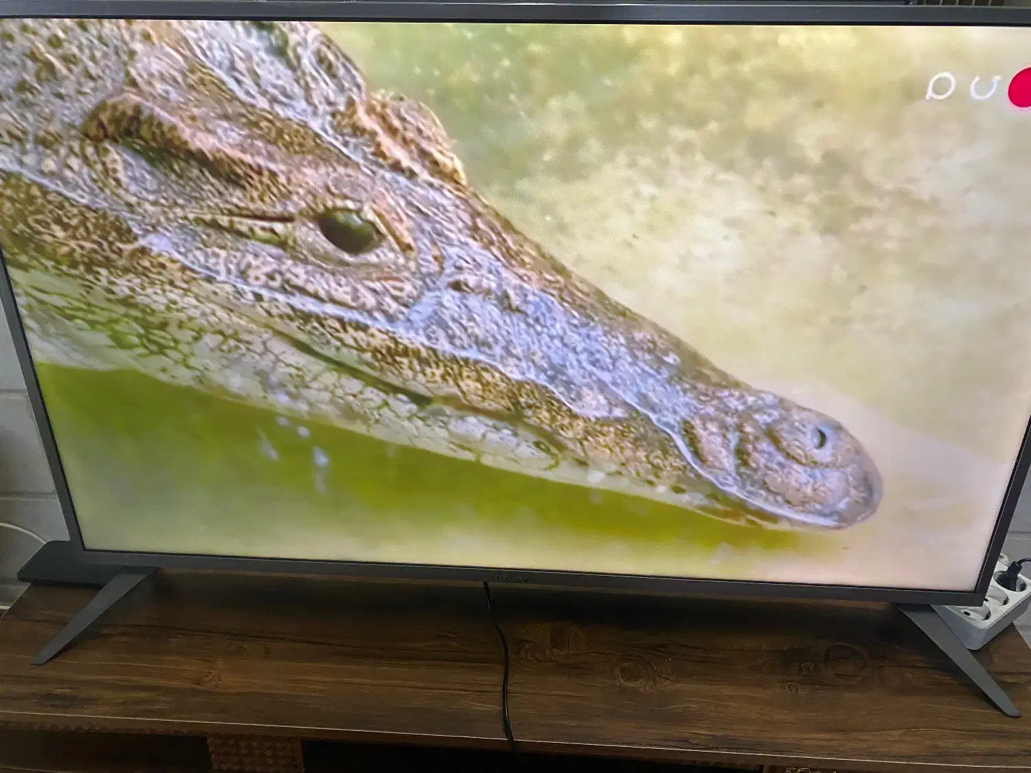 تلوزیون ۵۵|تلویزیون و پروژکتور|تهران, فلاح|دیوار