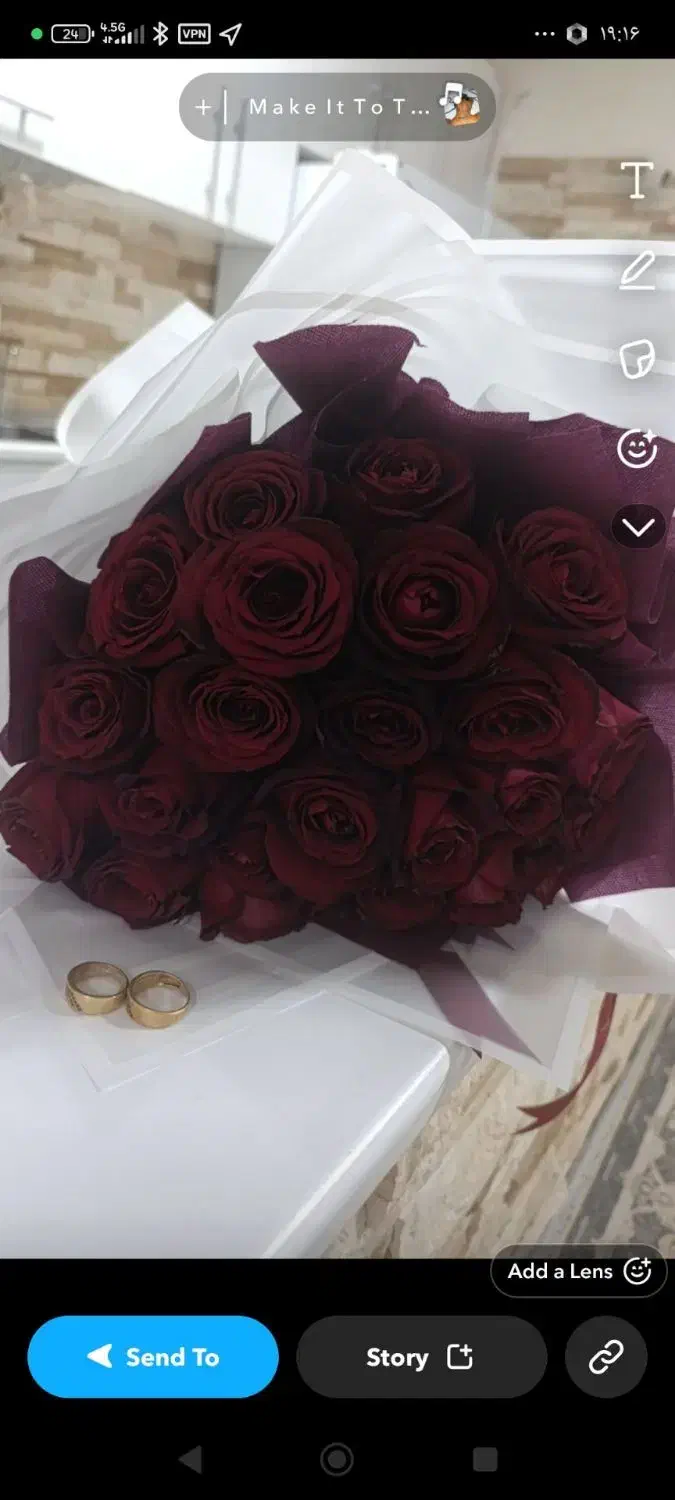 گل طبیعی|گل و گیاه طبیعی|رباطکریم, رباطکریم|دیوار