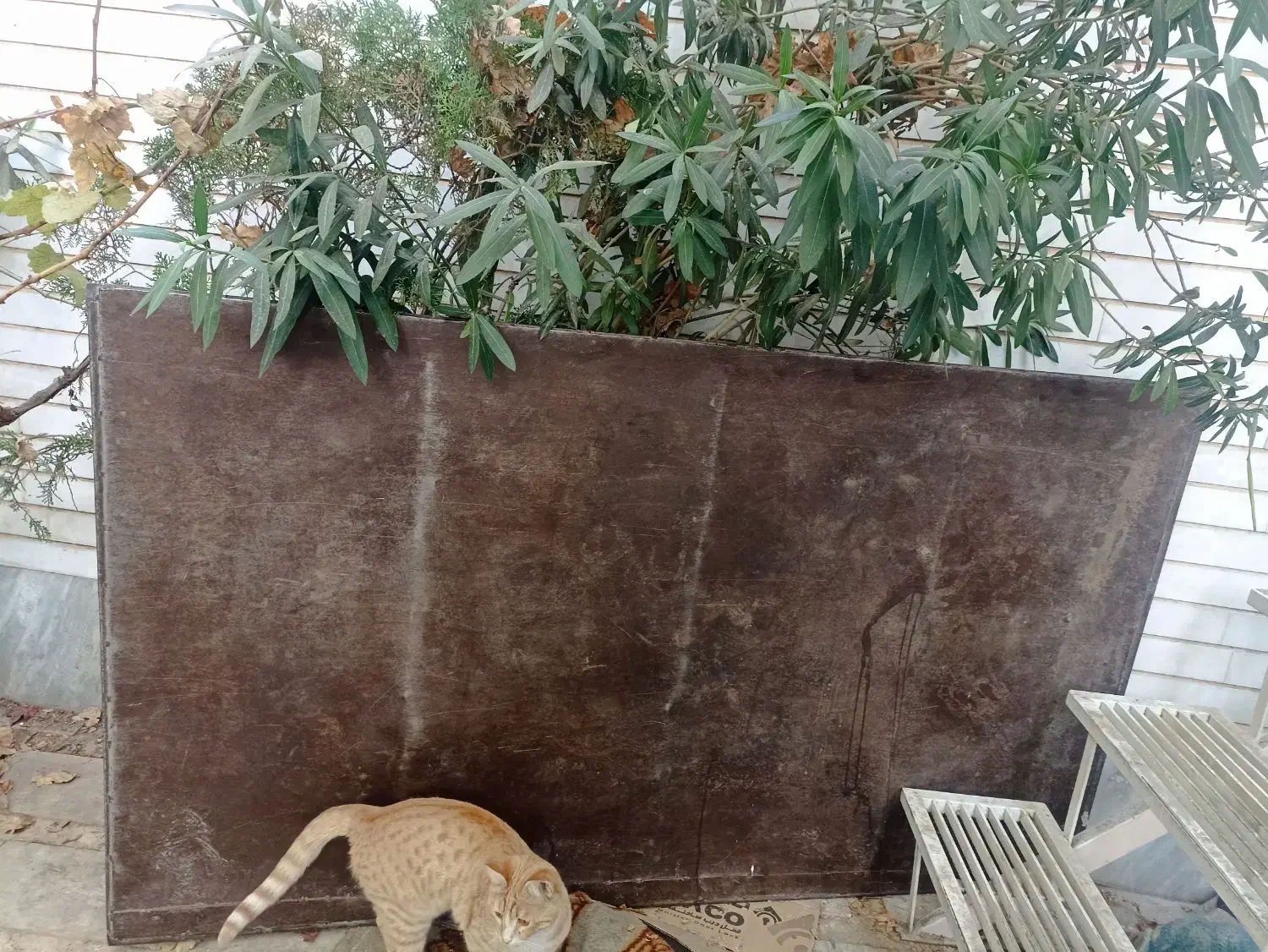 کفی مبلی نیسان|قطعات یدکی و لوازم جانبی|قزوین, |دیوار