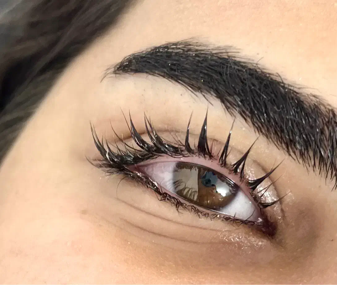 مدل برای اکستنشن مژه و لیفت مژه و ابرو|خدمات آرایشگری و زیبایی|سبزوار, ولیعصر (نجار آباد)|دیوار