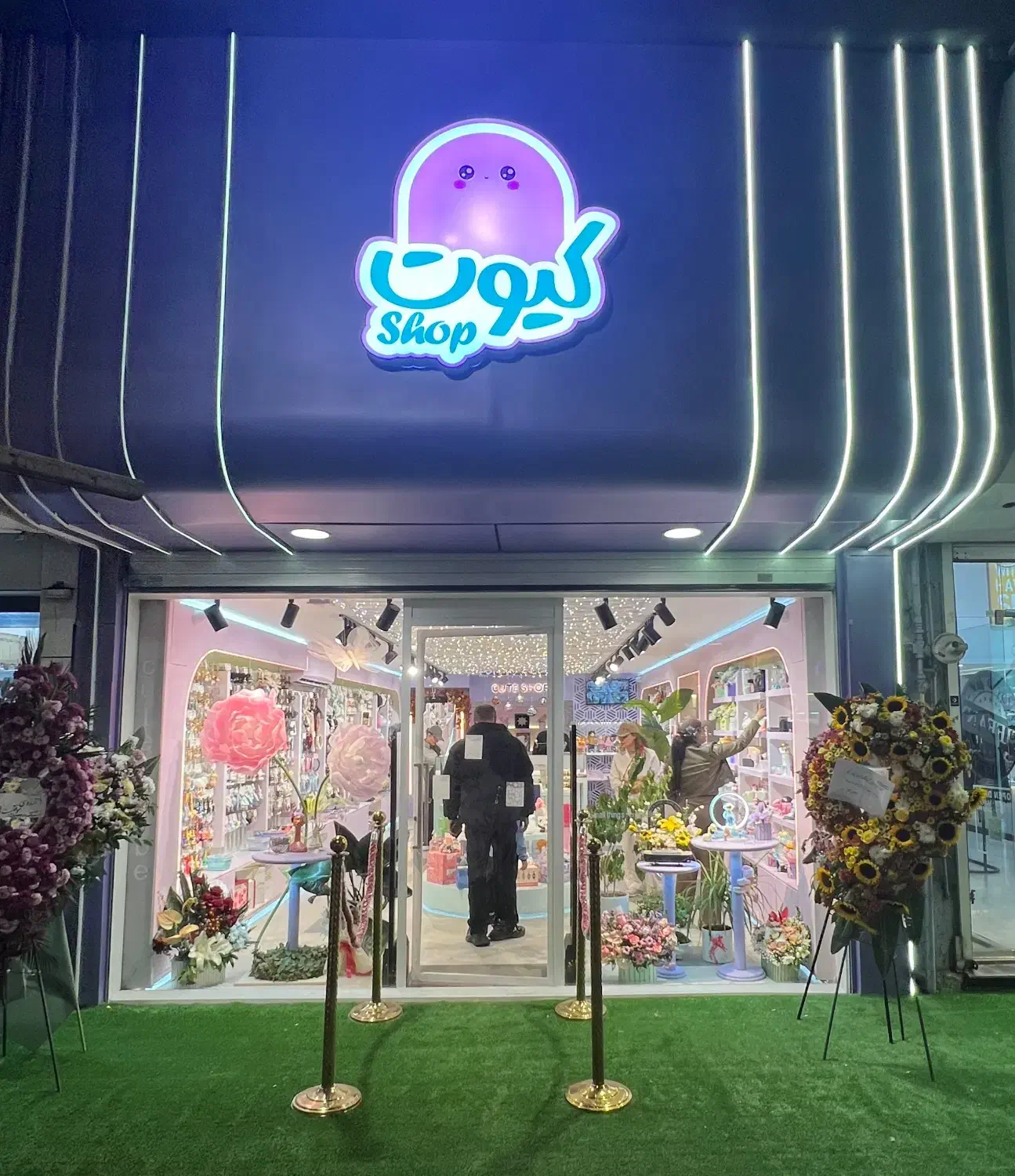 کارشناس چیدمان و دیزاین فروشگاهی|استخدام هنری و رسانه|رشت, کاکتوس|دیوار