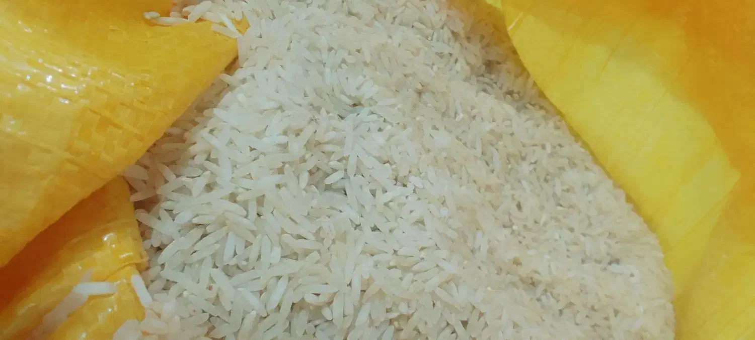 برنج|خوردنی و آشامیدنی|زاگرس, |دیوار