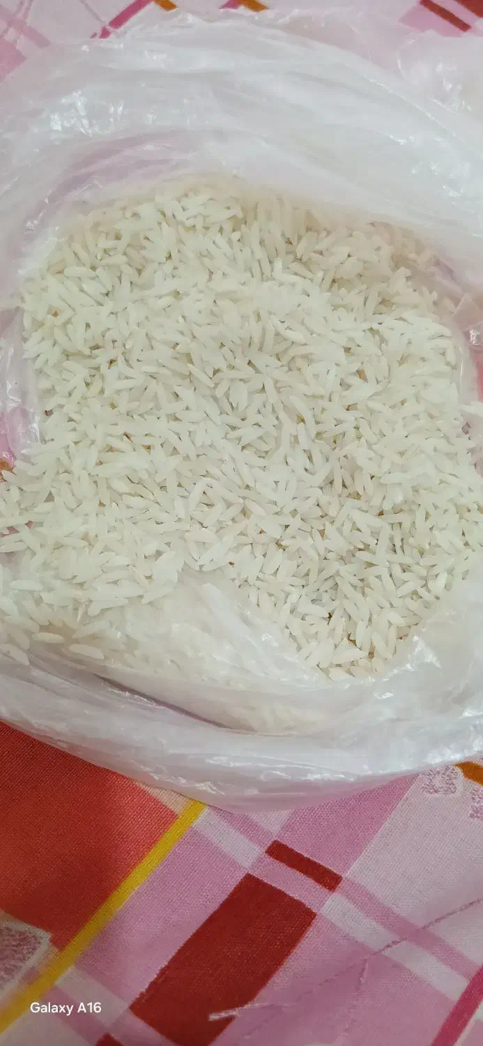 برنج هاشمی تازه|خوردنی و آشامیدنی|کوچصفهان, |دیوار