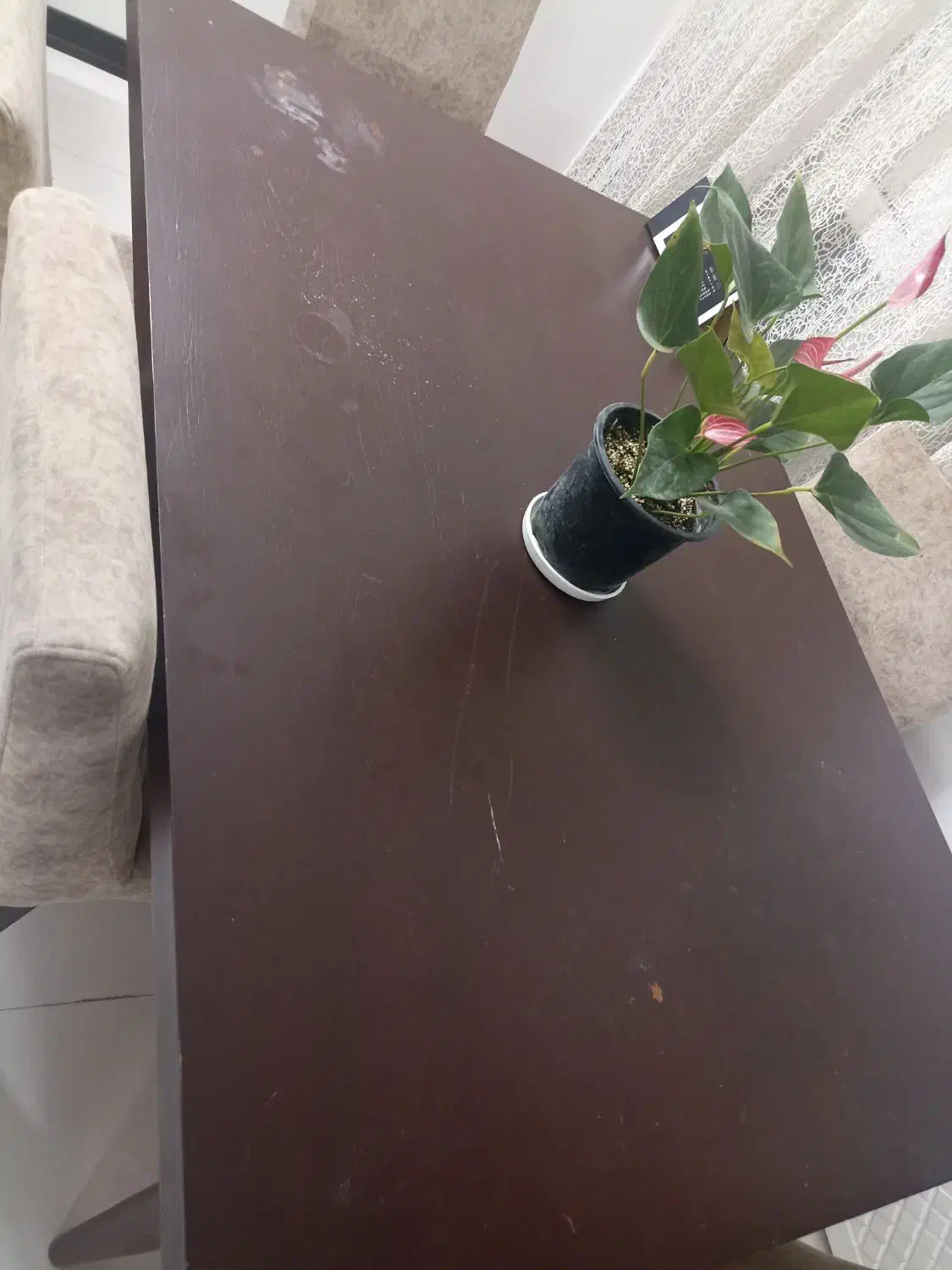 میز ناهارخوری|میز و صندلی غذاخوری|سمنان, |دیوار