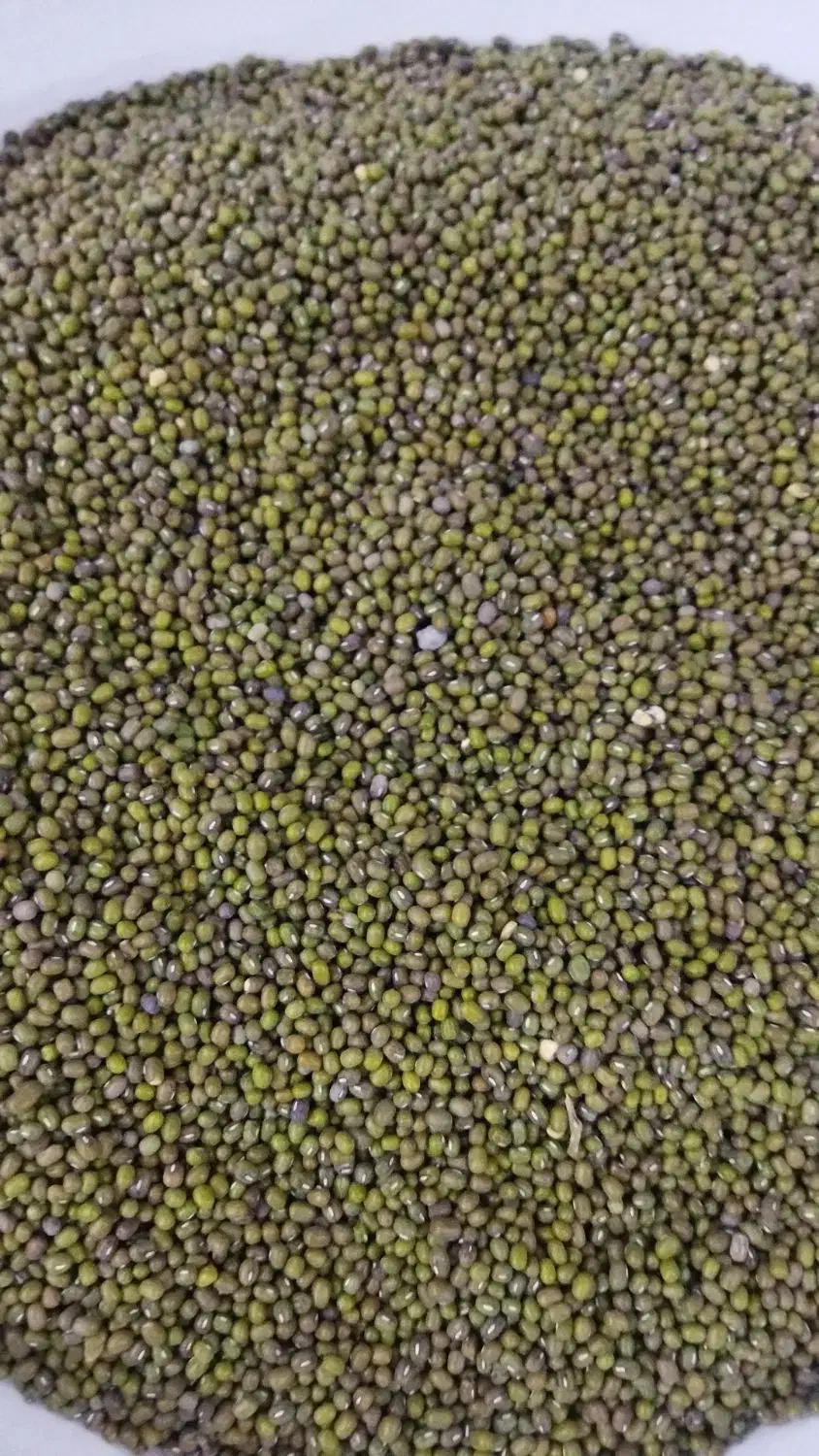 حبوبات (ماش ،عدس ریز ،لوبیا )|عمدهفروشی|بندر کنگان, |دیوار