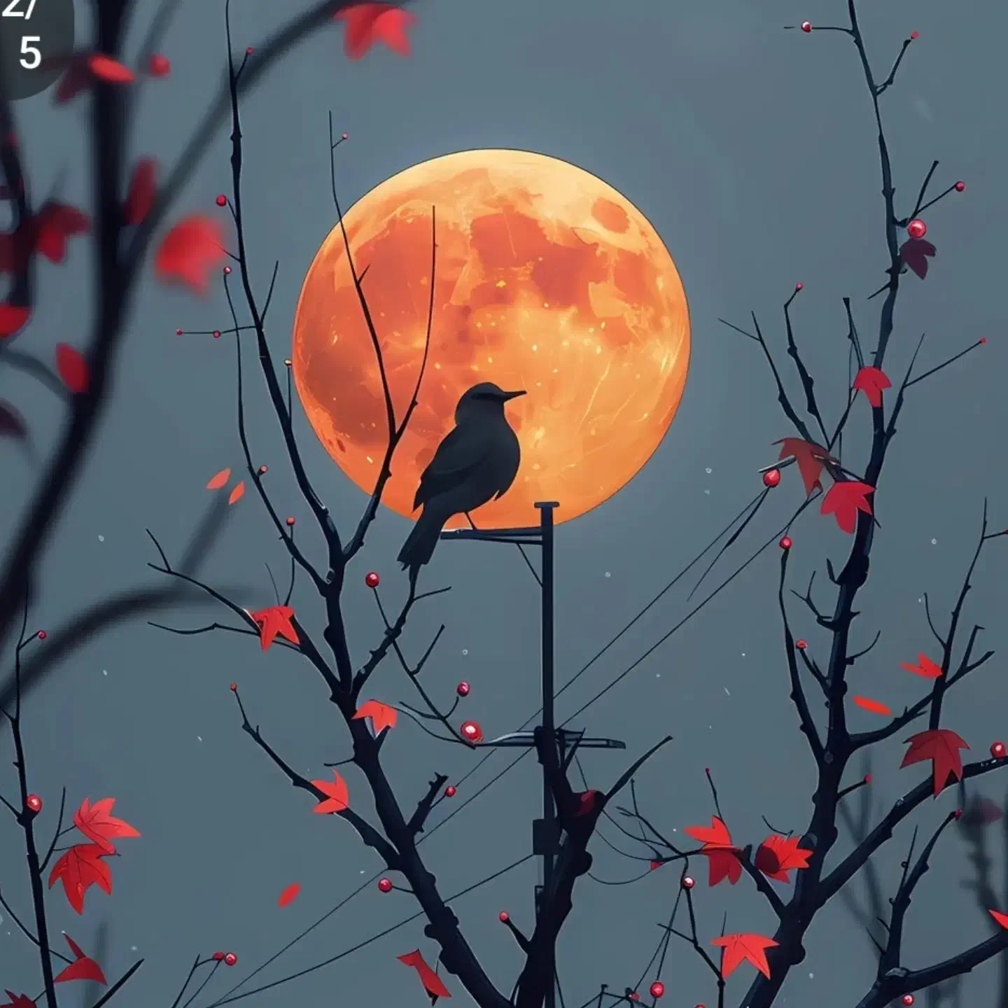 کنسرت گرشاب رضایی.|بلیت کنسرت|تبریز, |دیوار