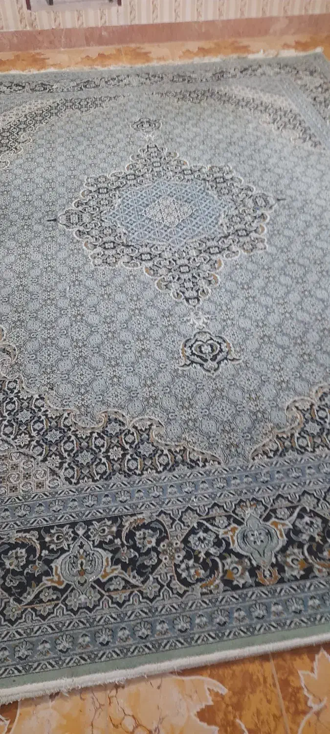 فرش ۱۲ متری|فرش|کرمانشاه, |دیوار