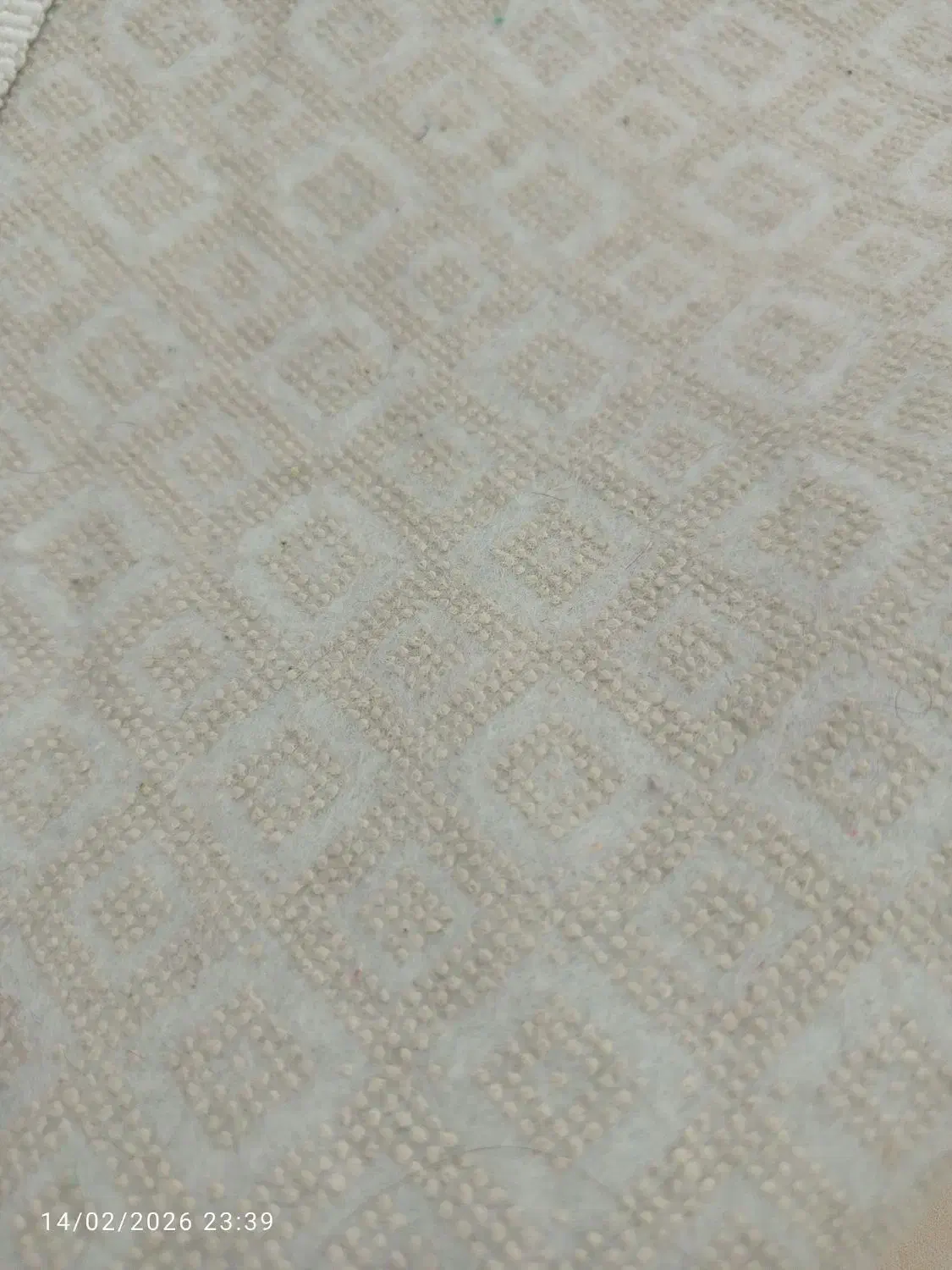 فرشینه|فرش|اسلامشهر, باغ فیض|دیوار