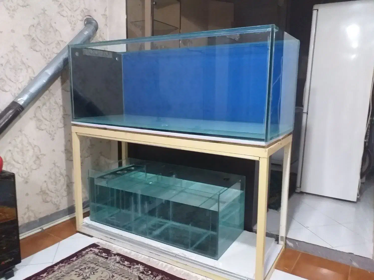 اکواریوم ۱۵ میل ابعاد ۱۷۰*۶۰*۶۰|ماهی|تهران, هفده شهریور|دیوار