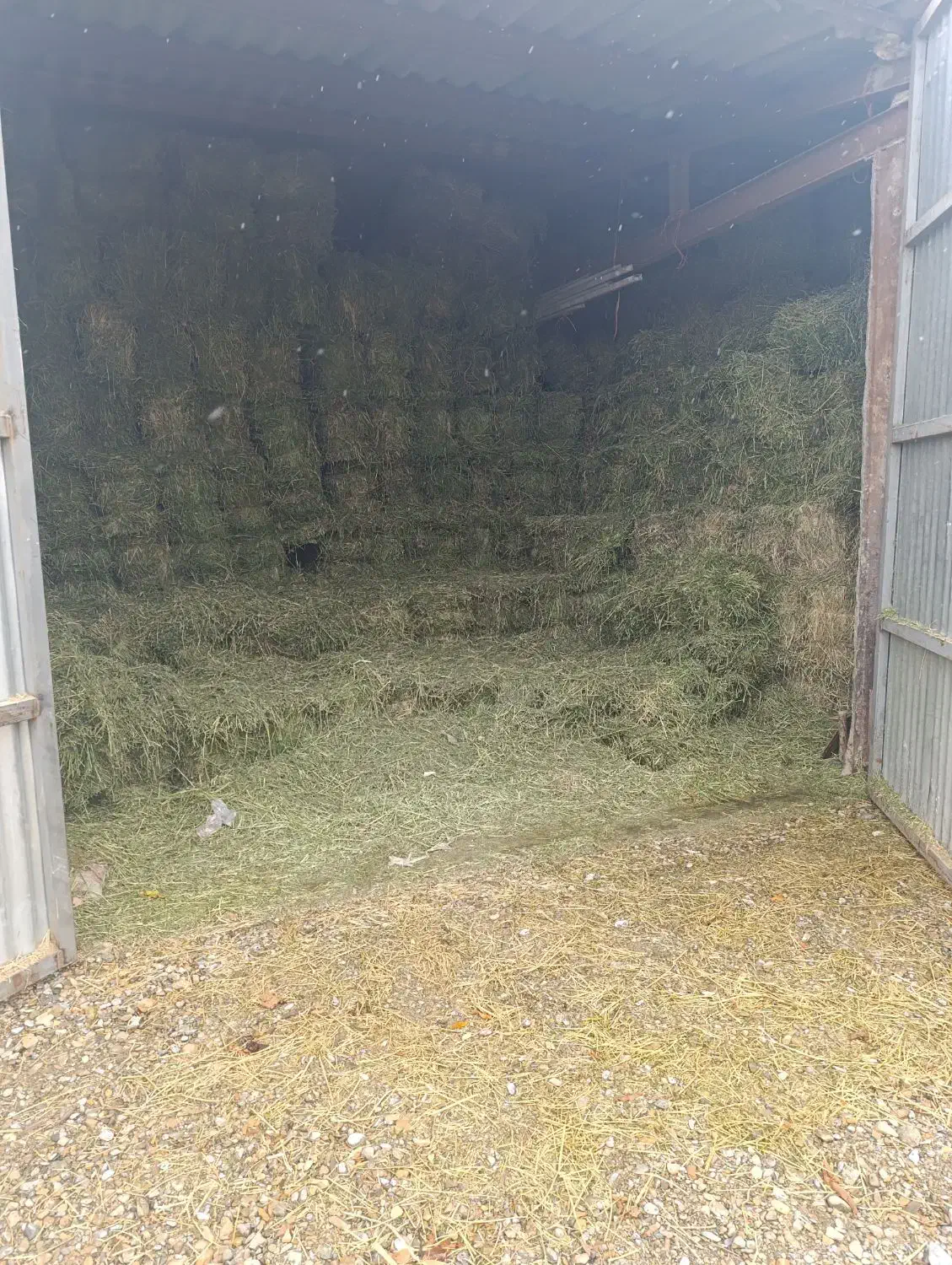 یونجه و کاه فروشی|عمده‌فروشی|قره چای, |دیوار