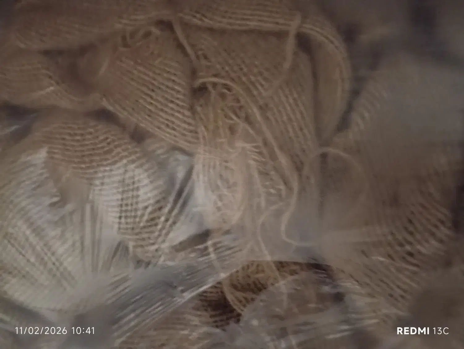 گونی کنفی|گلیم، جاجیم، گبه|قم, باغ شریفی|دیوار