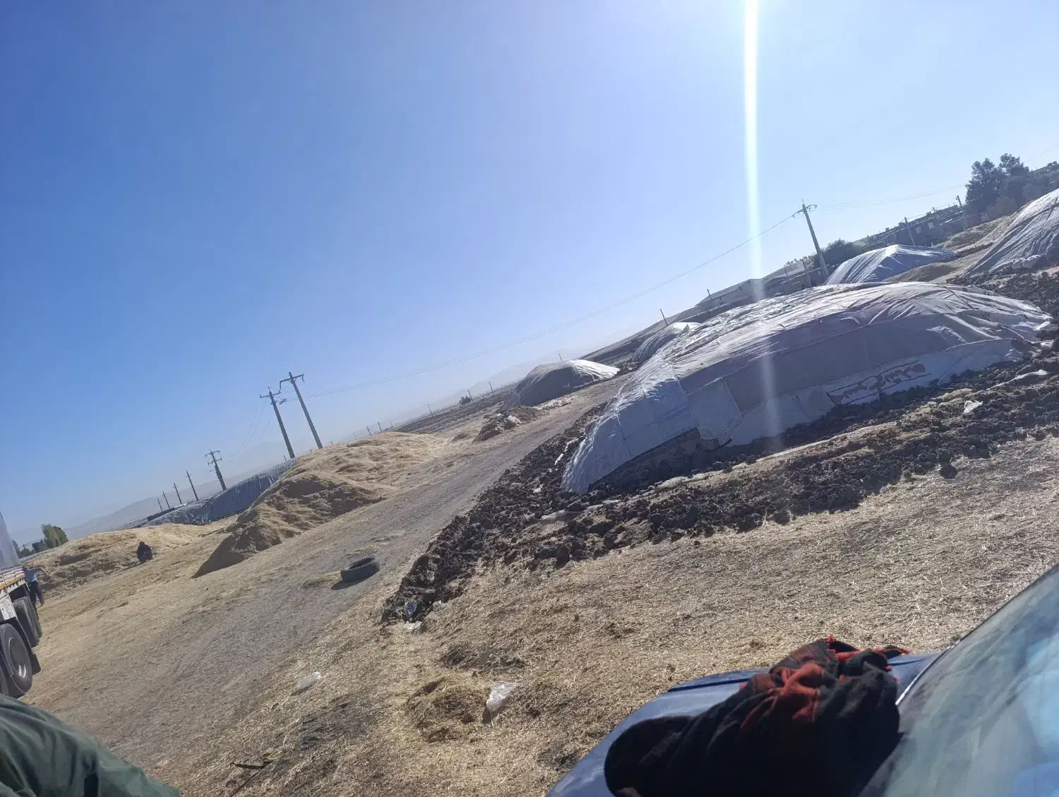 کارگرکاه|خدمات باغبانی و درختکاری|اسلام‌‌آباد غرب, |دیوار