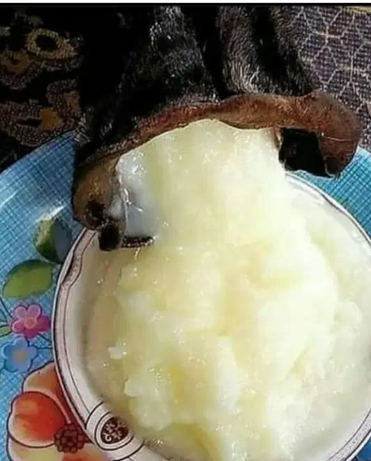 روغن و کشک گوسفندی و عسل طبیعی|خوردنی و آشامیدنی|لردگان, |دیوار