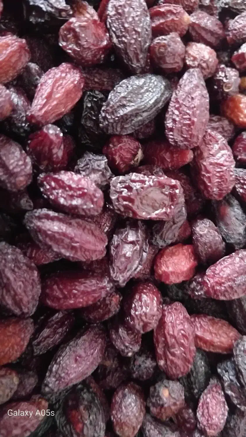 زغال اخته خشک الموت ارگانیک|خوردنی و آشامیدنی|قزوین, |دیوار