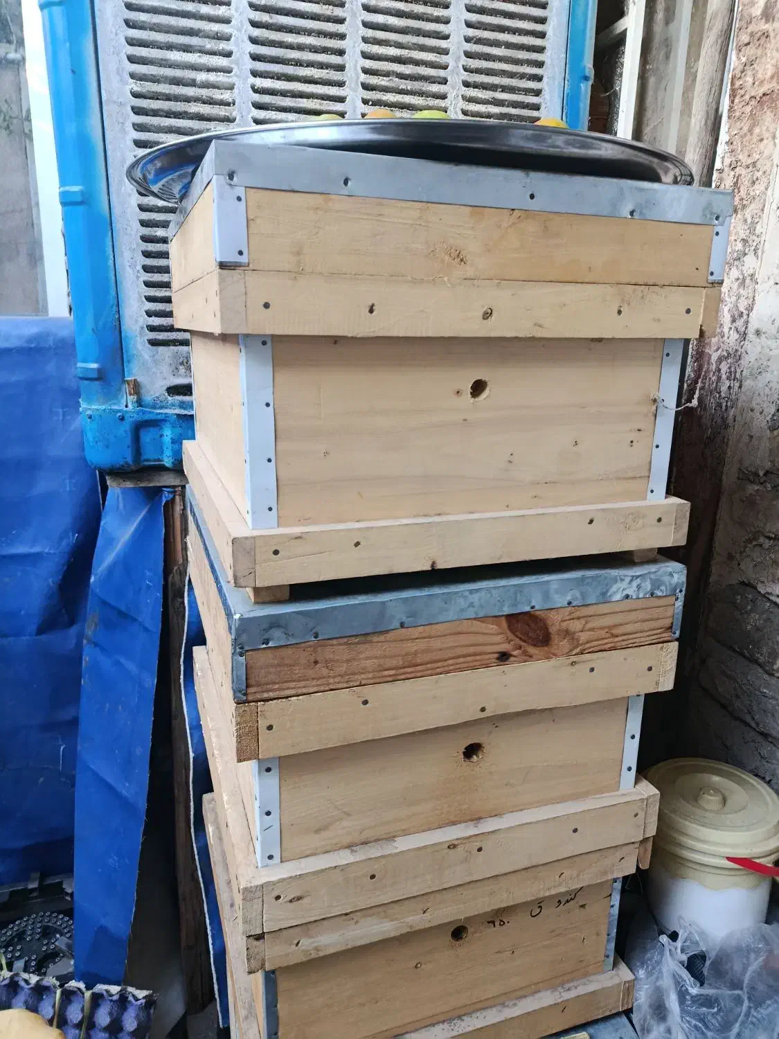 کندو زنبورعسل|لوازم جانبی حیوانات|الوند, |دیوار