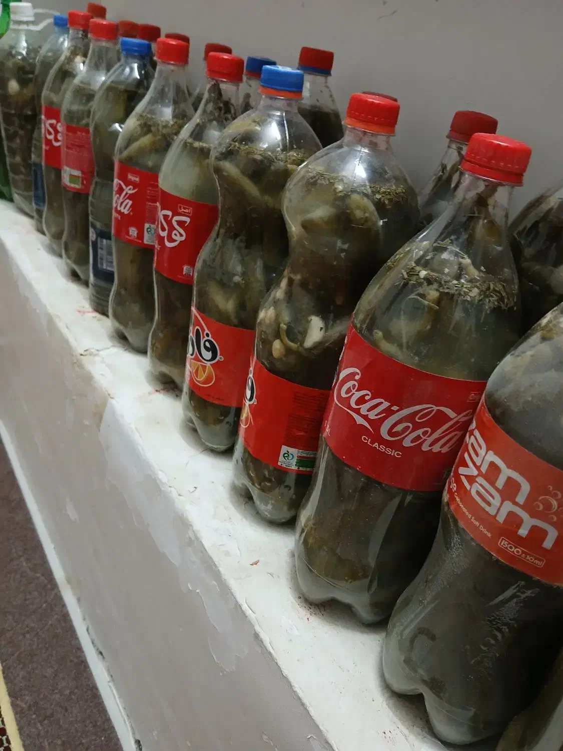 خیارشور ارگانیک|خوردنی و آشامیدنی|گنبد کاووس, |دیوار