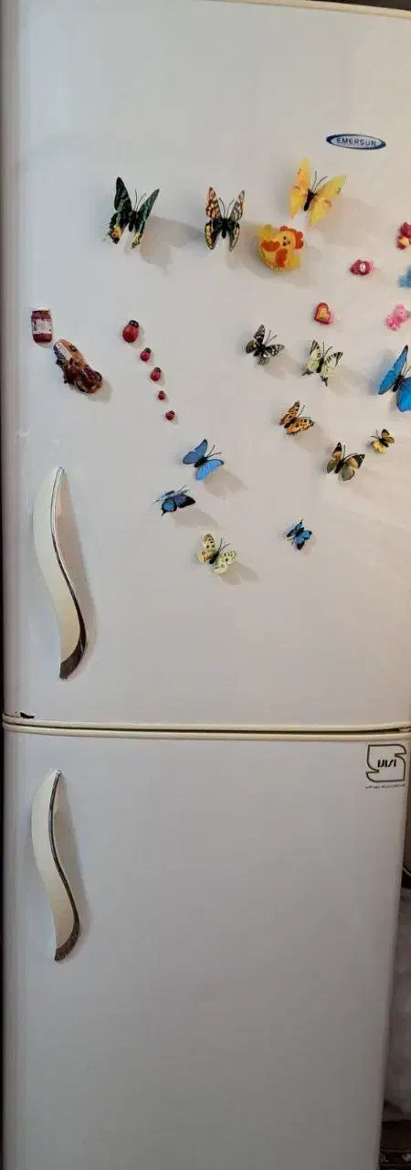 یخچال فریزر|یخچال و فریزر|مشهد, ولیعصر (شهرک غرب)|دیوار