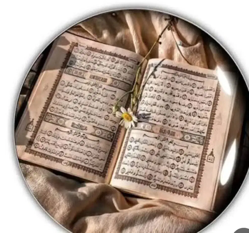 سرکتاب|کتاب و مجله مذهبی|یاسوج, |دیوار