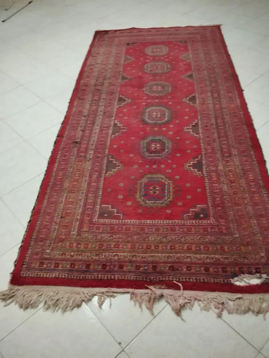 قالی دست بافت|فرش|مشهد, بهارستان|دیوار