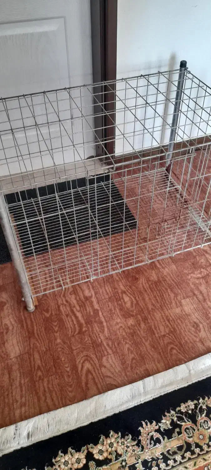 قفس سگ|لوازم جانبی حیوانات|پرند, فاز ۵|دیوار