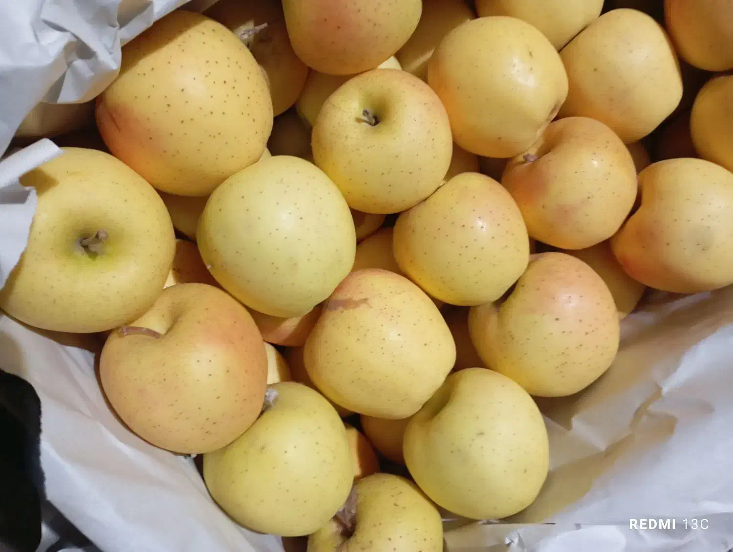 فروش سیب|خوردنی و آشامیدنی|باغ حلی, |دیوار