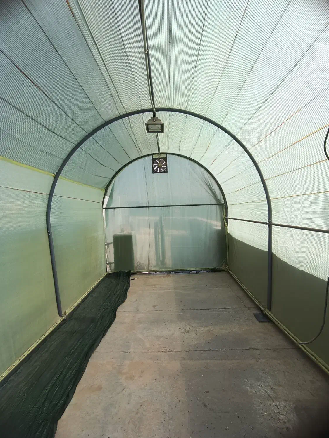 گلخانه خانگی|عمده‌فروشی|اندیشه, اندیشه فاز ۵|دیوار